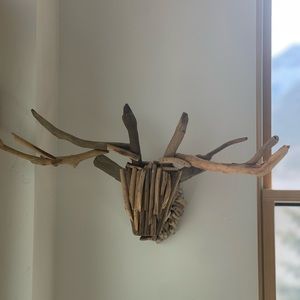 Drift wood deer head